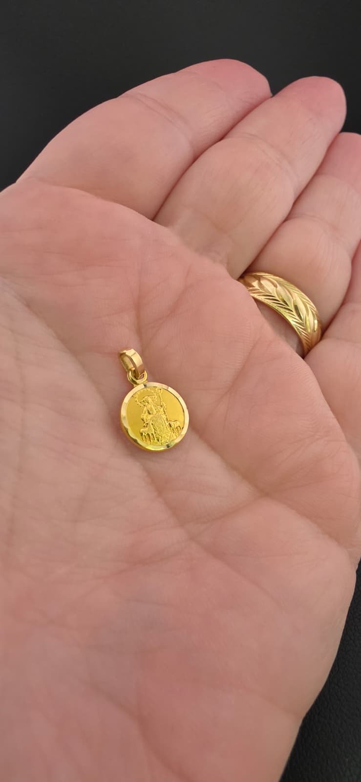 Jose Gregorio Hernandez Double-Sided Medal