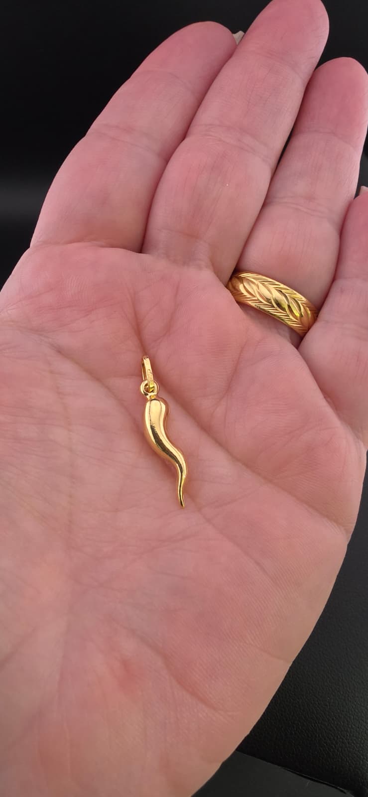 Italian Horn Charm
