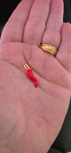 Italian Horn Charm