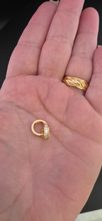 Huggie Earring