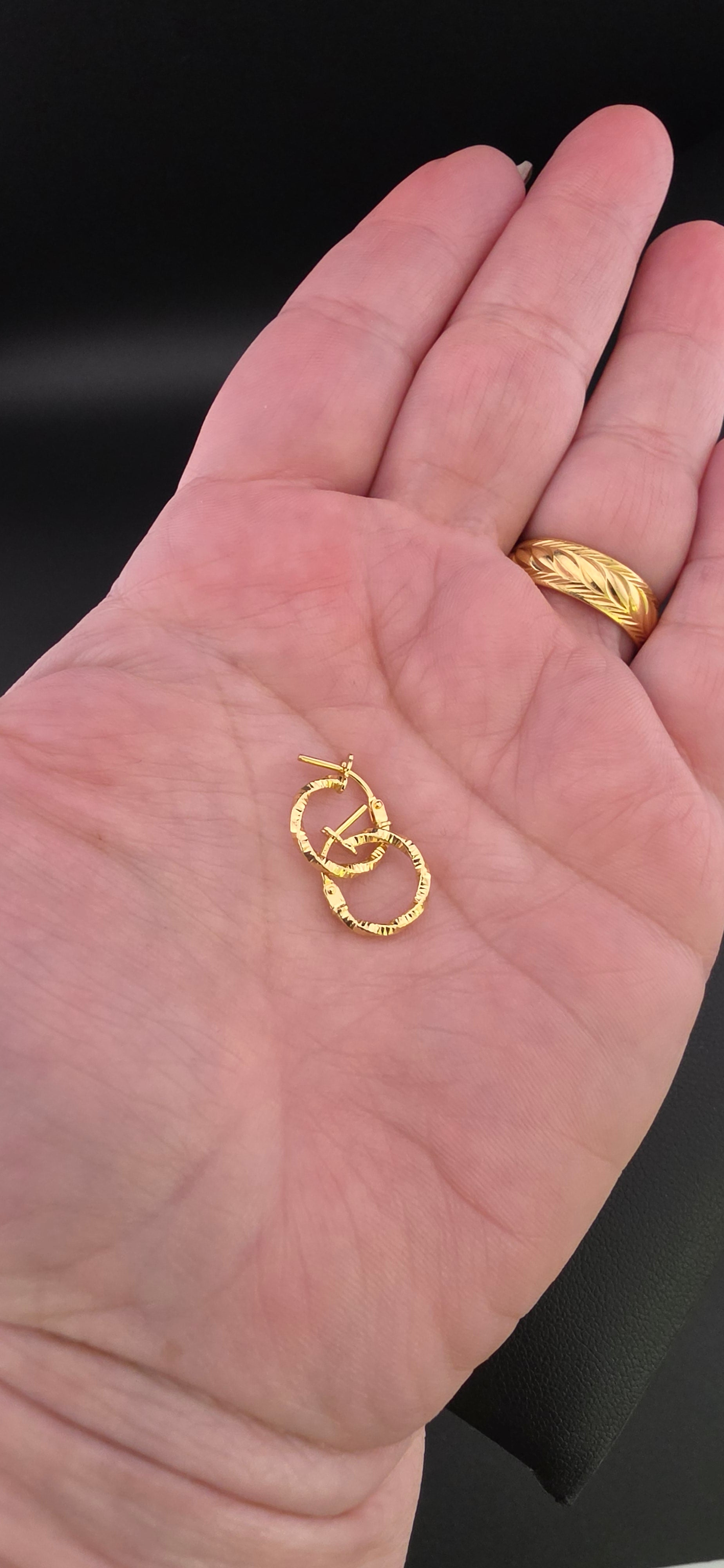 Small Twisted Hoop Earrings