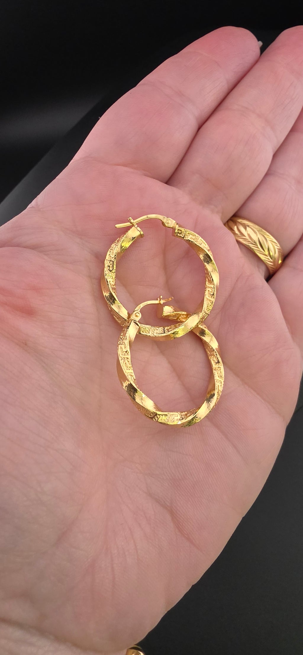 Twisted Hoop Earrings