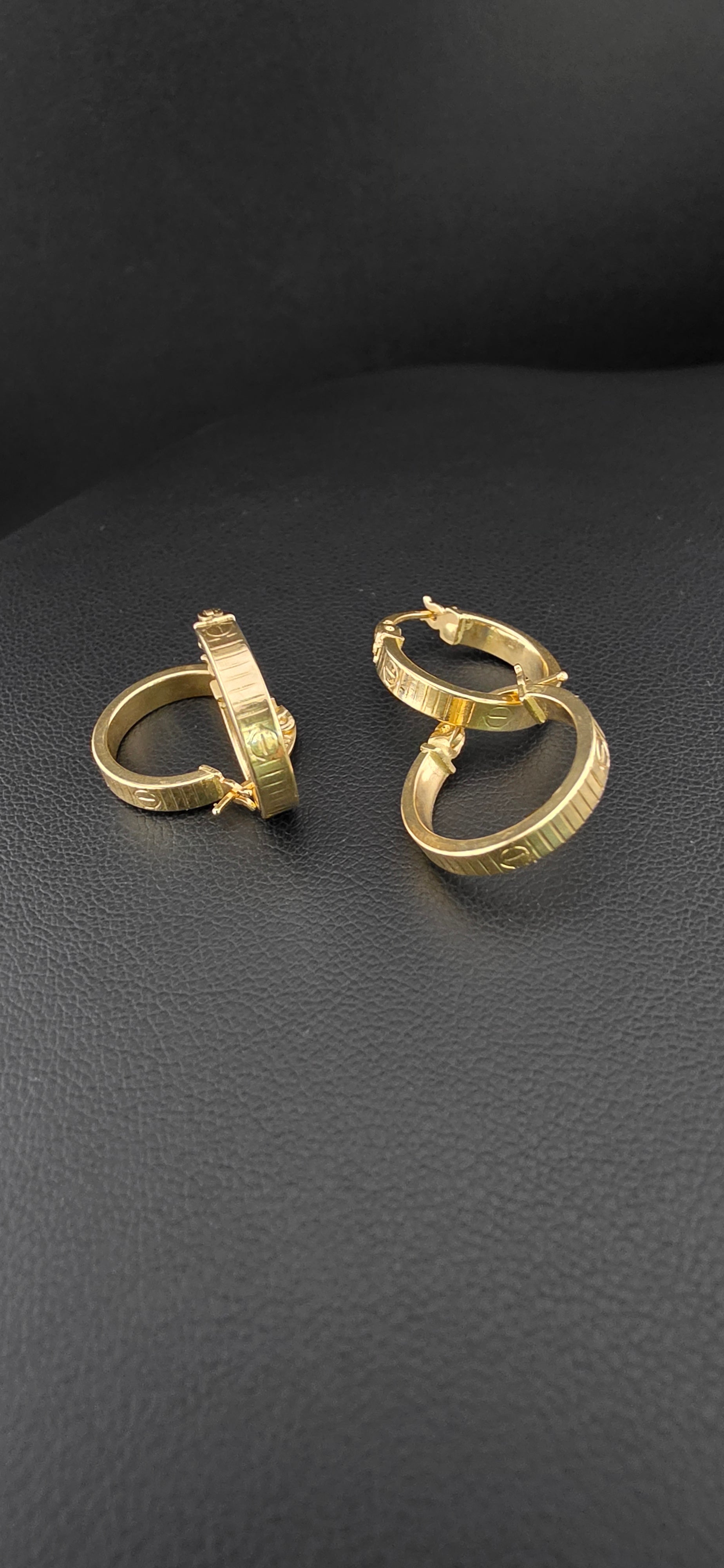 Hoop Earrings