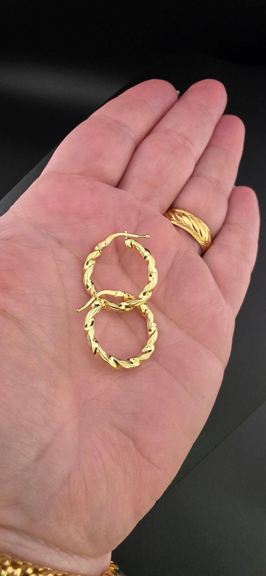 Twisted Hoop Earrings