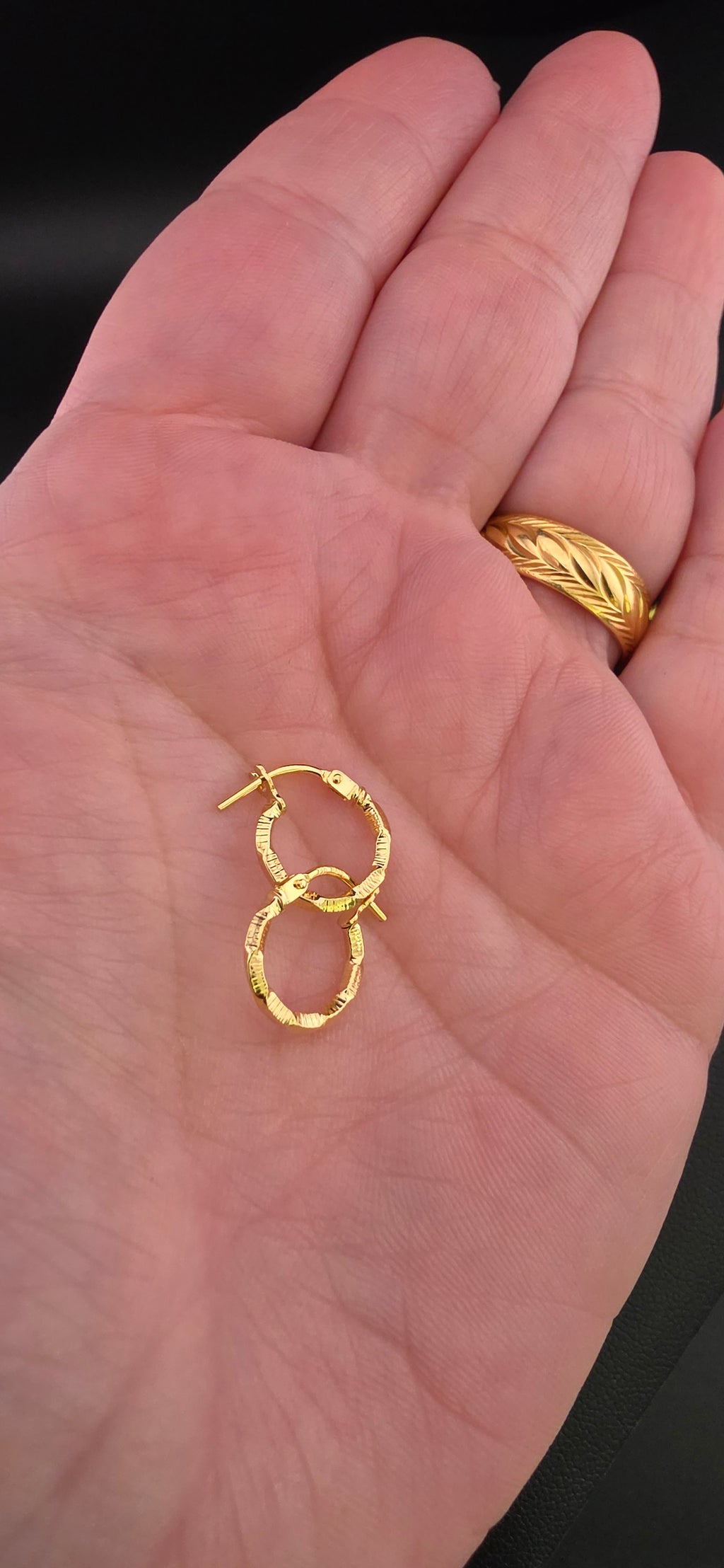 Small Twisted Hoop Earrings