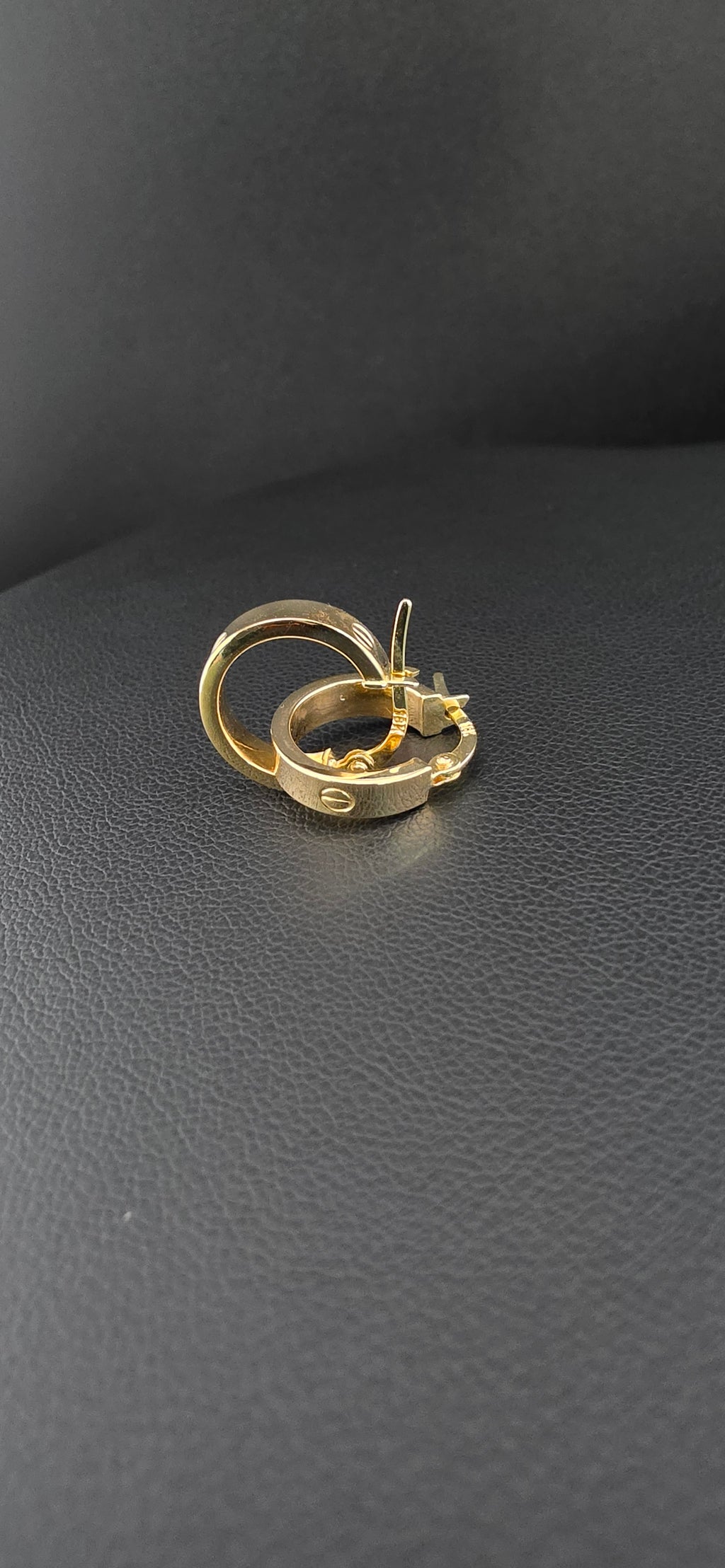 Hoop Earrings