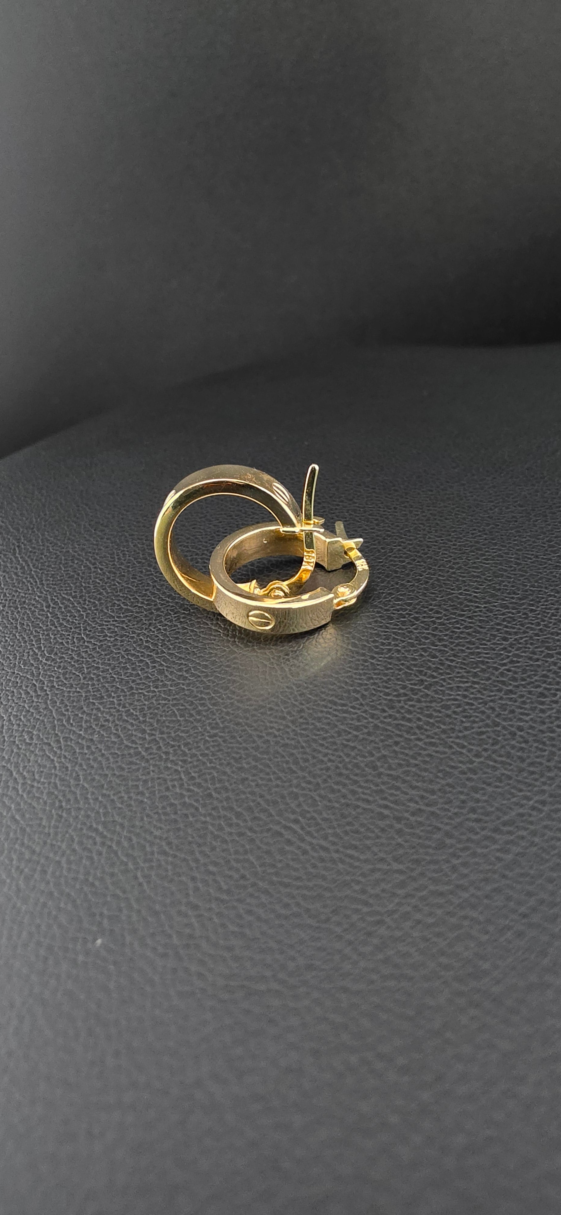 Hoop Earrings
