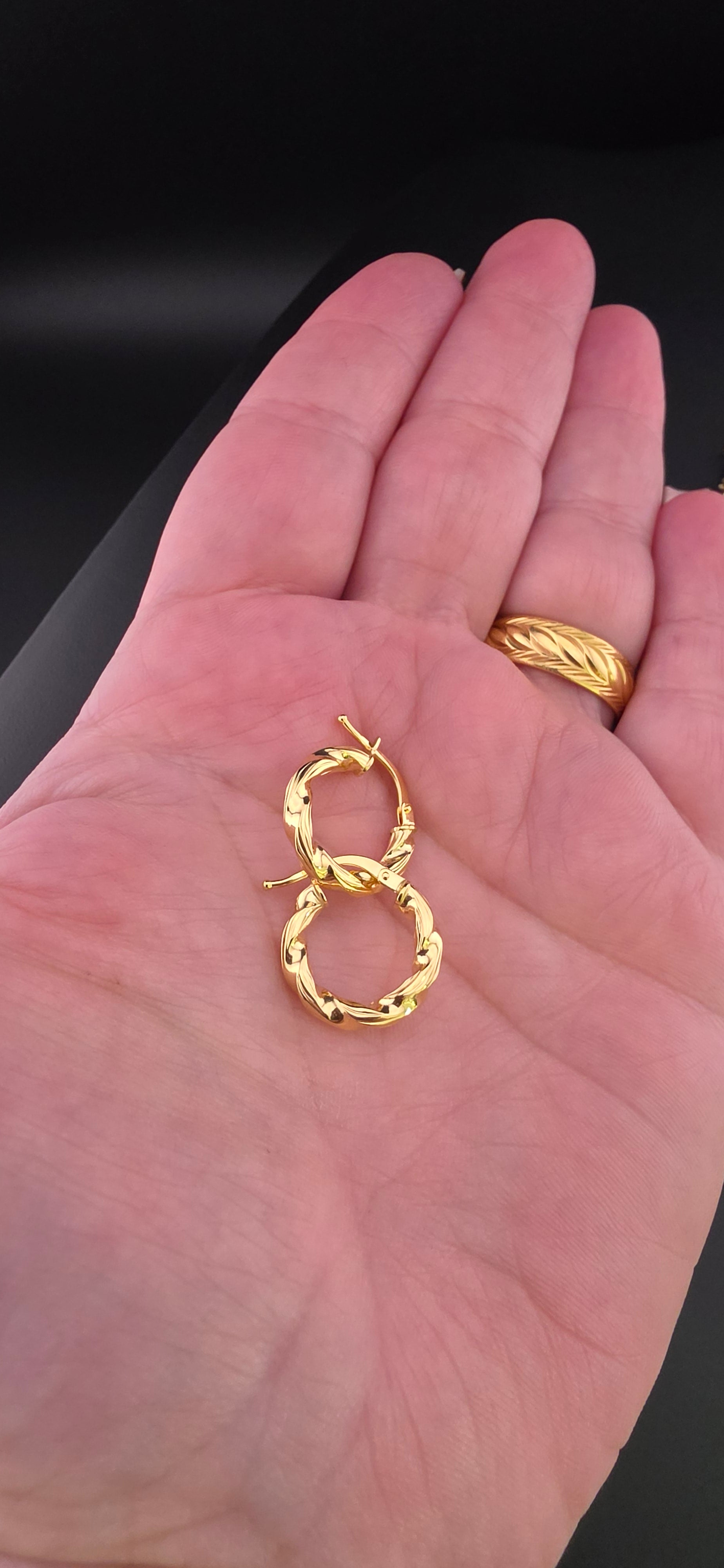 Twisted Hoop Earrings