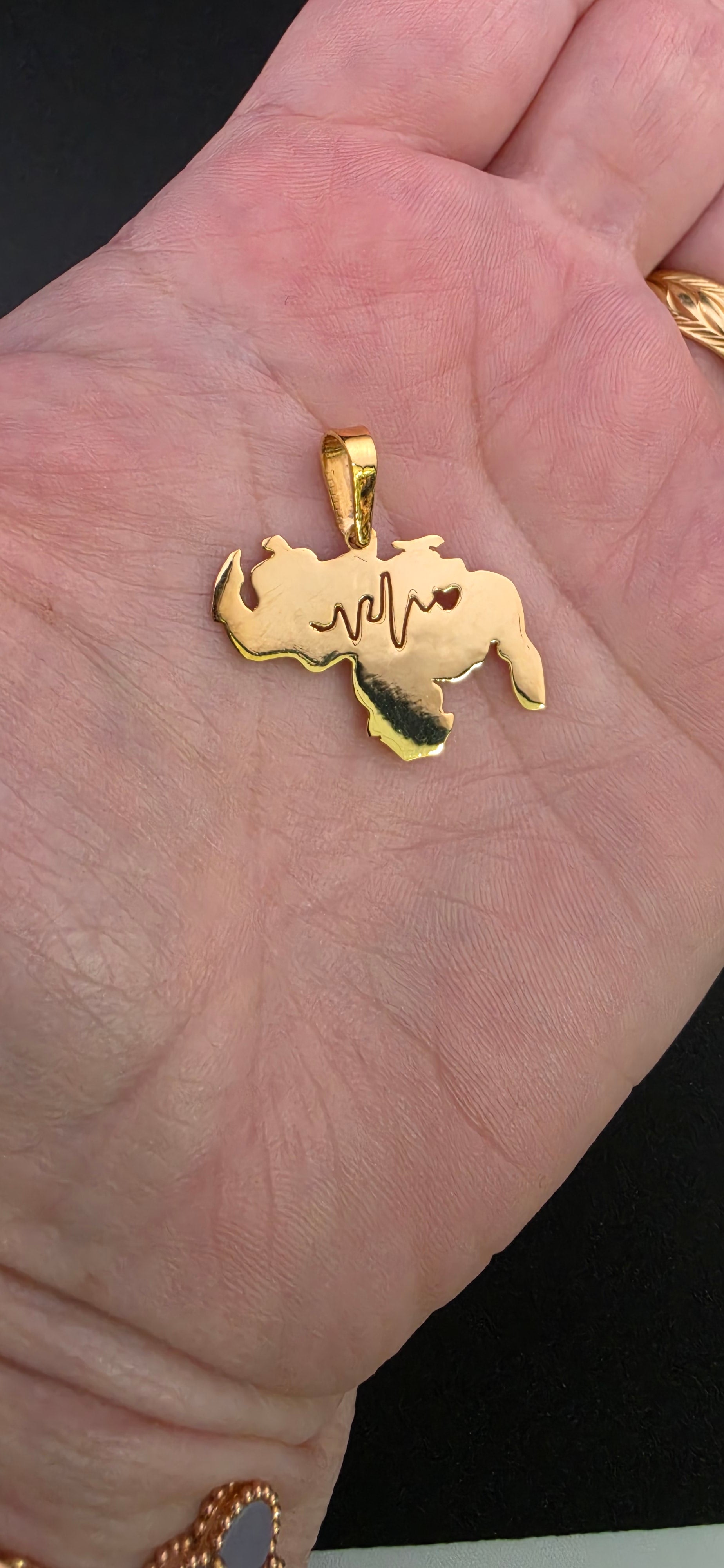 Charm Map Venezuela 🇻🇪