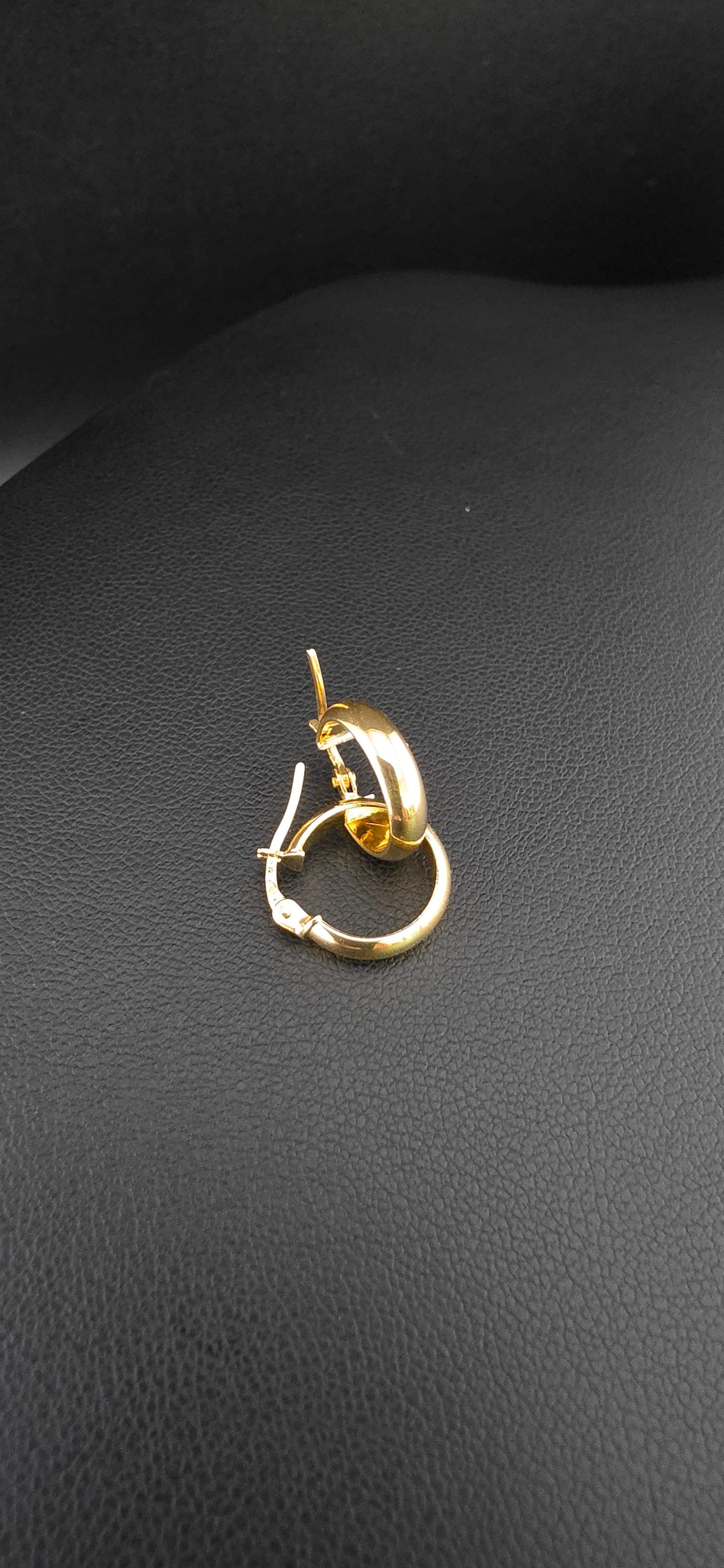 Hoop Earrings