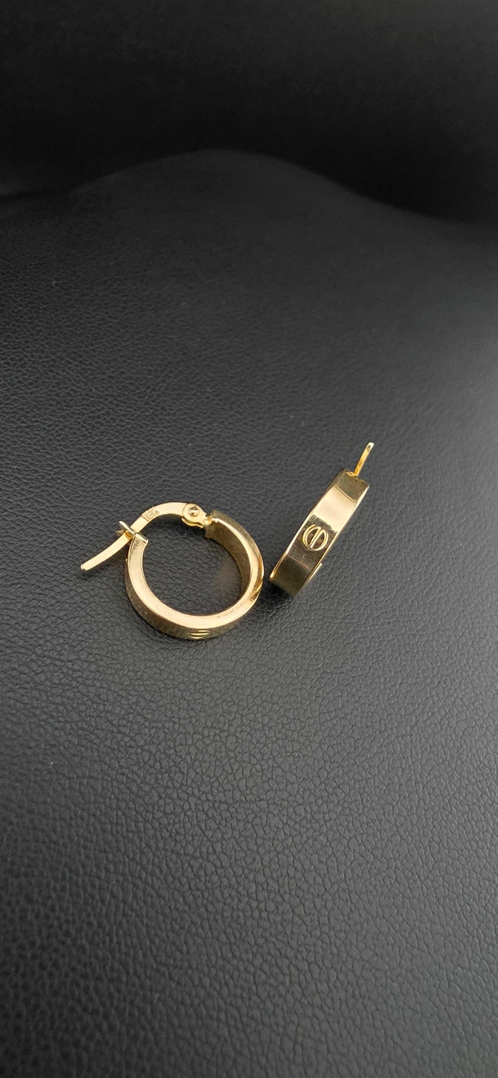 Hoop Earrings