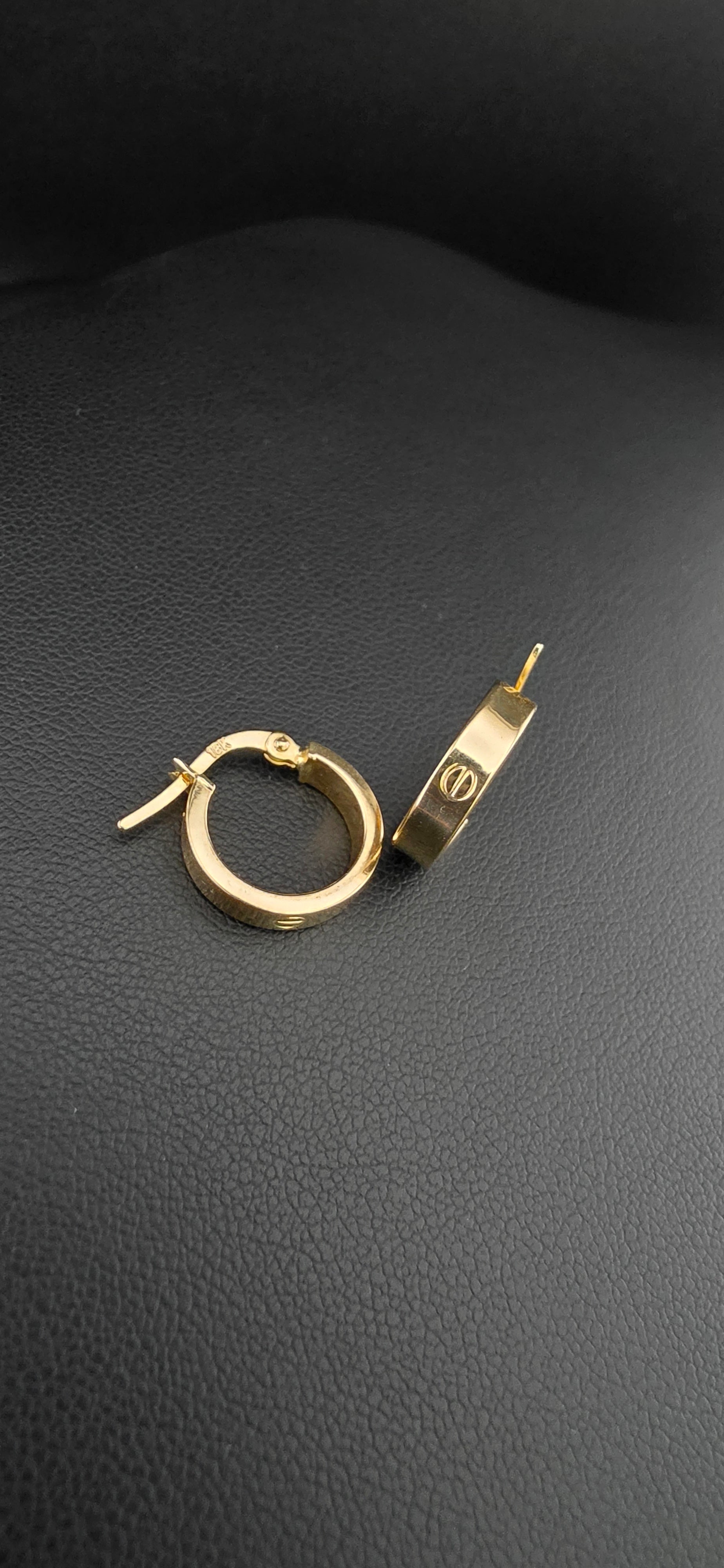 Hoop Earrings