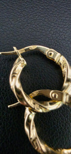 Twisted Hoop Earrings